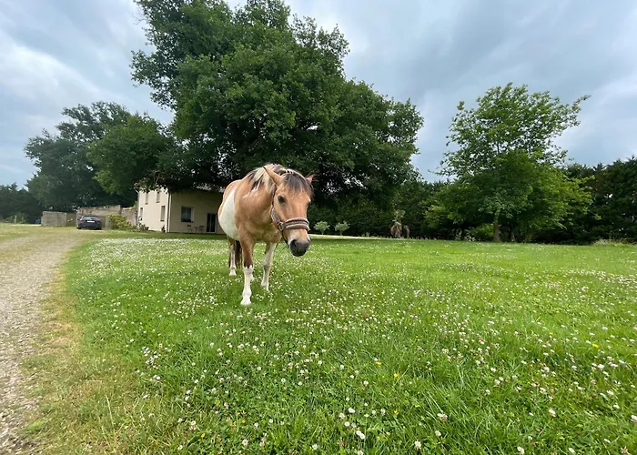 Balneo Mauleon-D'armagnac